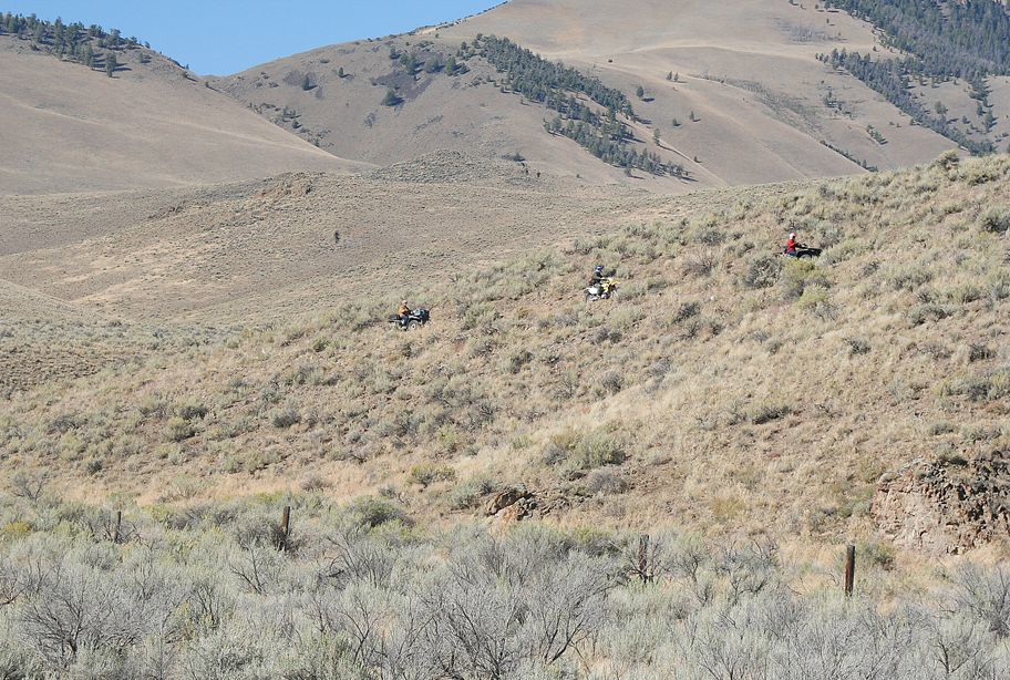 ATV, Ride the Bayhorse.tif